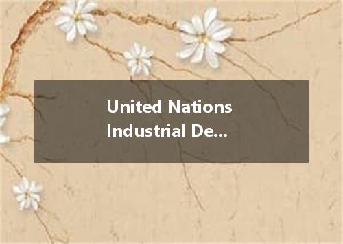 United Nations Industrial Development Organization是什么意思