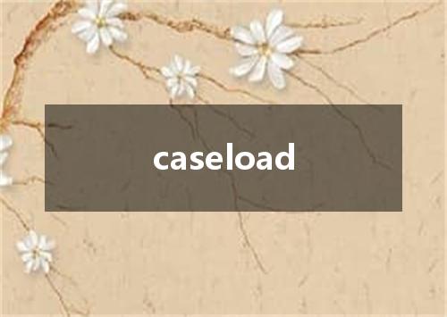 caseload是什么意思