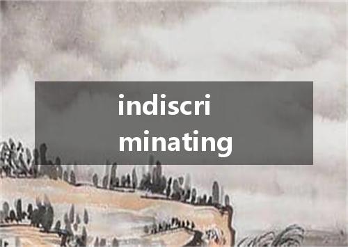 indiscriminating是什么意思
