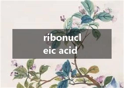 ribonucleic acid是什么意思