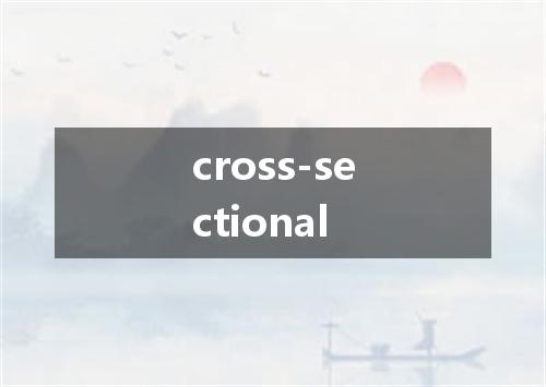cross-sectional是什么意思