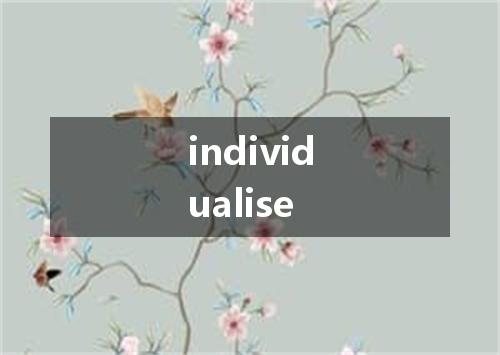 individualise是什么意思