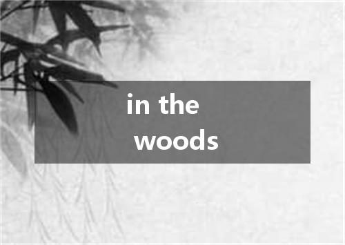 in the woods是什么意思