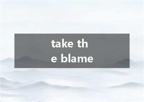 take the blame是什么意思