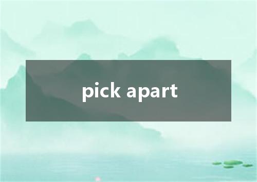 pick apart是什么意思