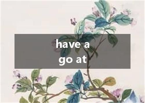 have a go at是什么意思