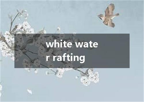 white water rafting是什么意思