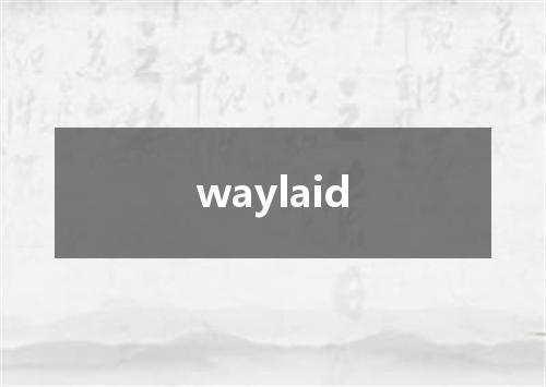 waylaid是什么意思