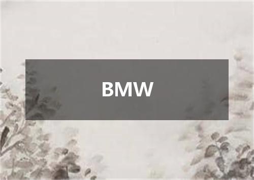 BMW是什么意思