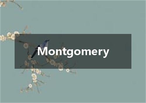 Montgomery是什么意思