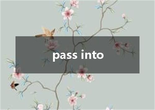 pass into是什么意思