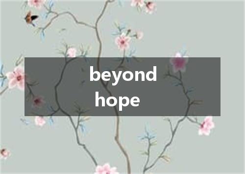 beyond hope是什么意思