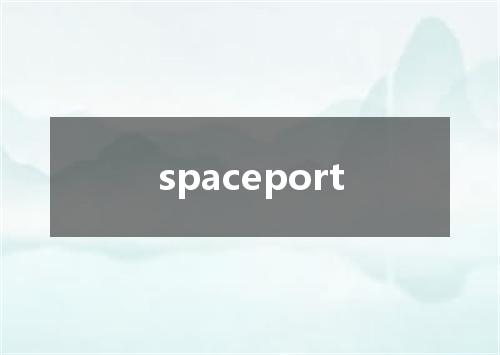 spaceport是什么意思