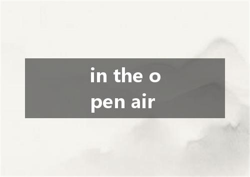 in the open air是什么意思