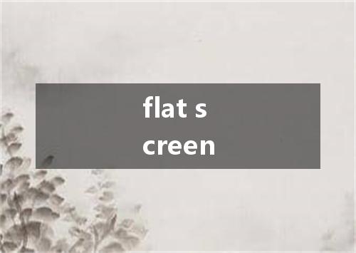 flat screen是什么意思