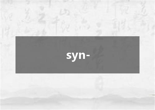syn-是什么意思