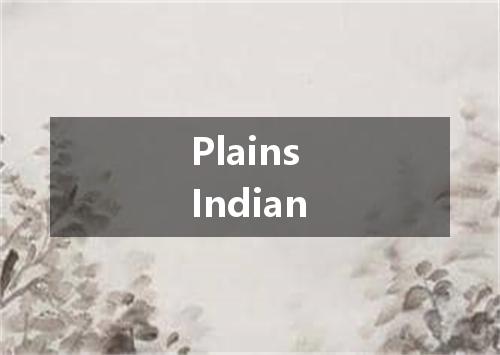 Plains Indian是什么意思