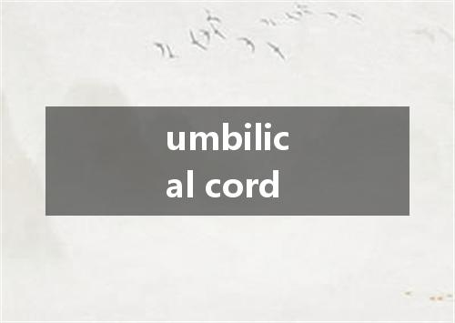 umbilical cord是什么意思