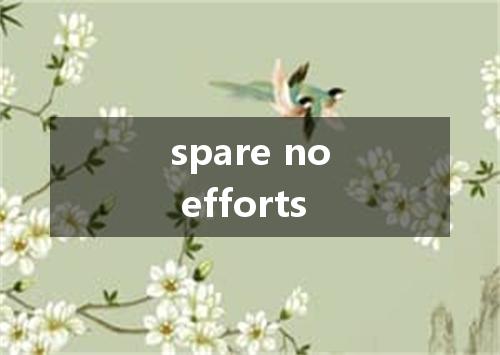 spare no efforts是什么意思
