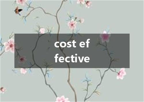 cost effective是什么意思