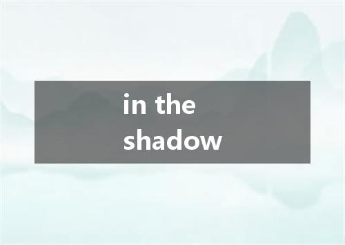 in the shadow是什么意思