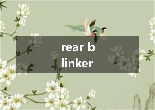 rear blinker是什么意思