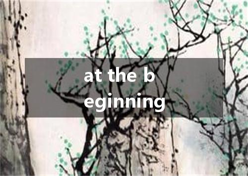 at the beginning是什么意思