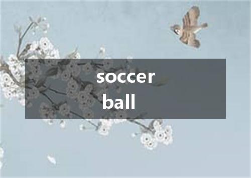 soccer ball是什么意思