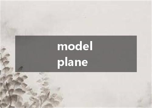 model plane是什么意思