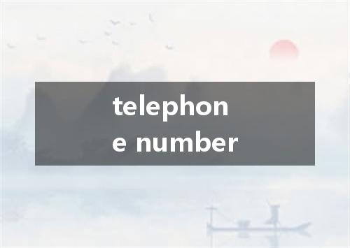 telephone number是什么意思