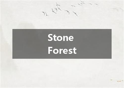 Stone Forest是什么意思