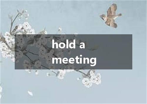 hold a meeting是什么意思