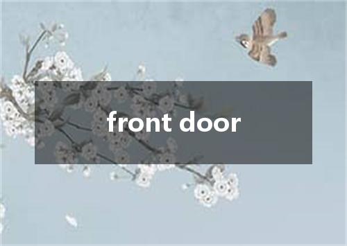 front door是什么意思