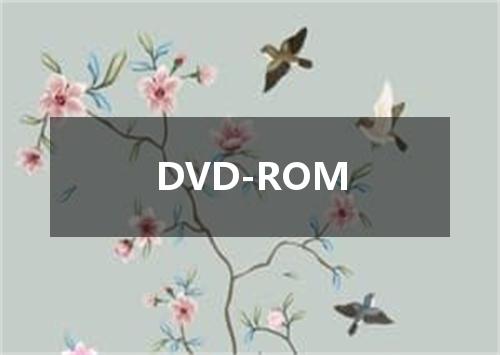 DVD-ROM是什么意思