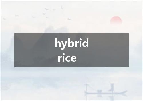 hybrid rice是什么意思