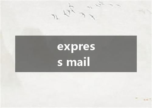 express mail是什么意思