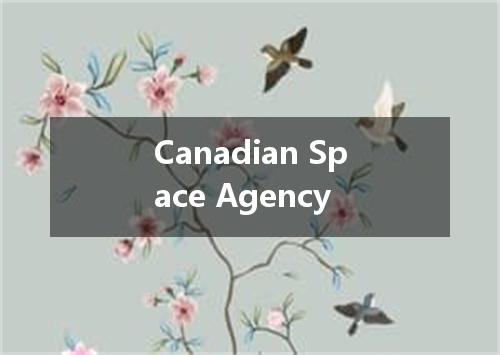 Canadian Space Agency是什么意思