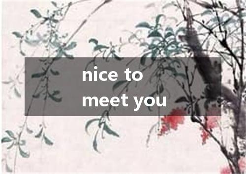 nice to meet you是什么意思