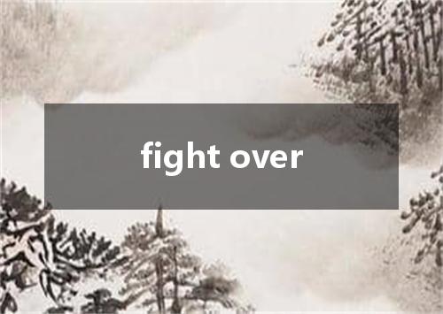 fight over是什么意思