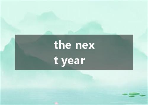 the next year是什么意思