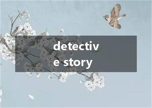 detective story是什么意思