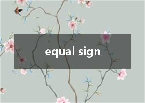 equal sign是什么意思