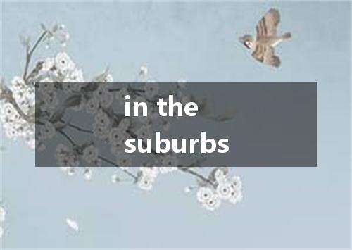 in the suburbs是什么意思