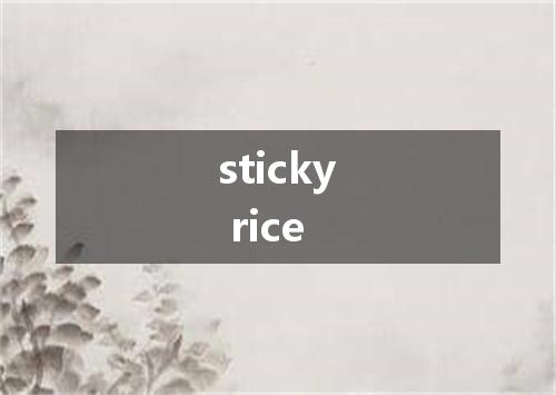sticky rice是什么意思