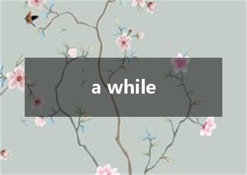 a while是什么意思