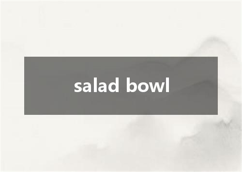 salad bowl是什么意思