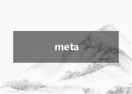 meta是什么意思