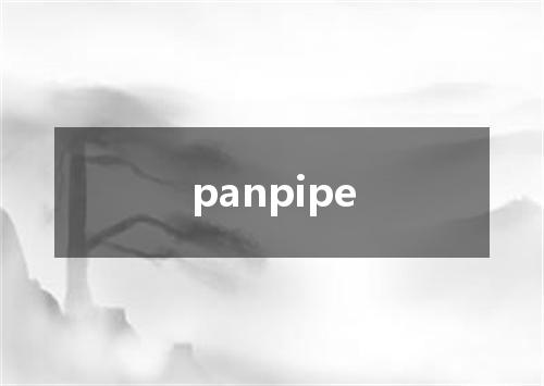 panpipe是什么意思