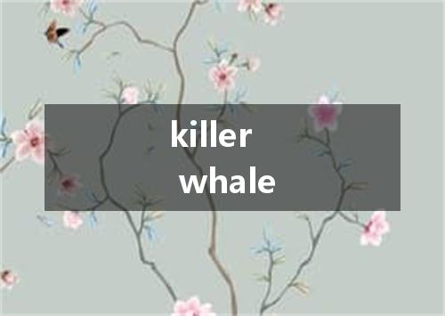 killer whale是什么意思