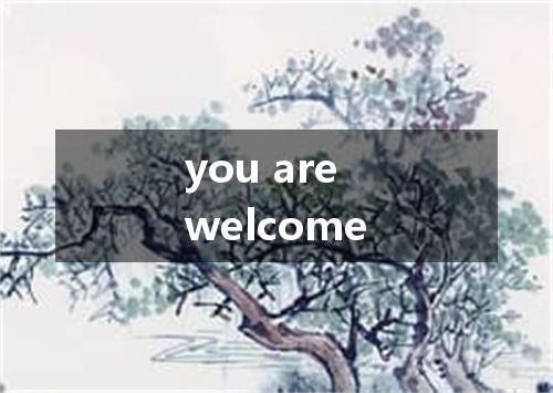 you are welcome是什么意思